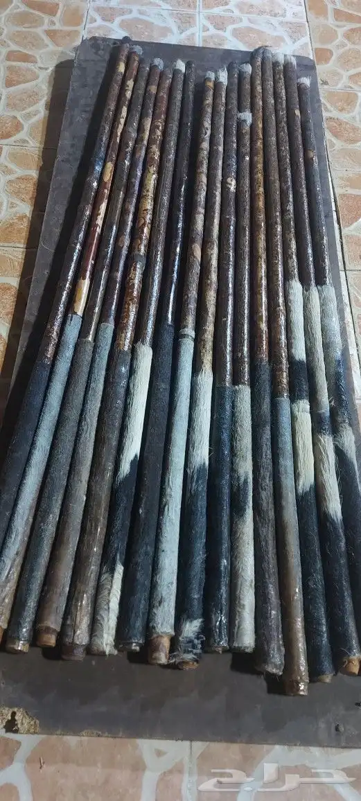 عصي مزمار 13