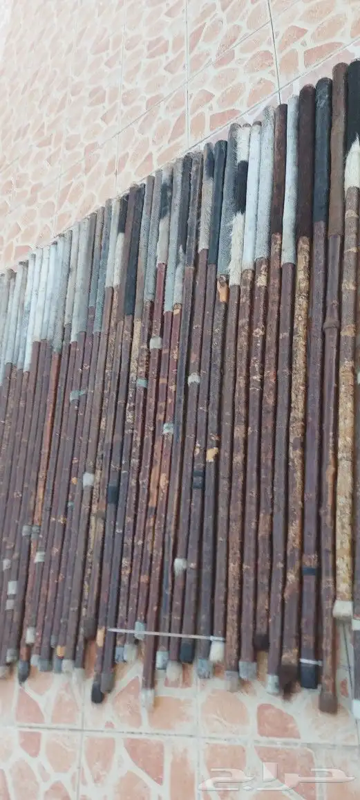 عصي مزمار 36