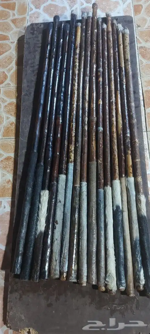 عصي مزمار 12