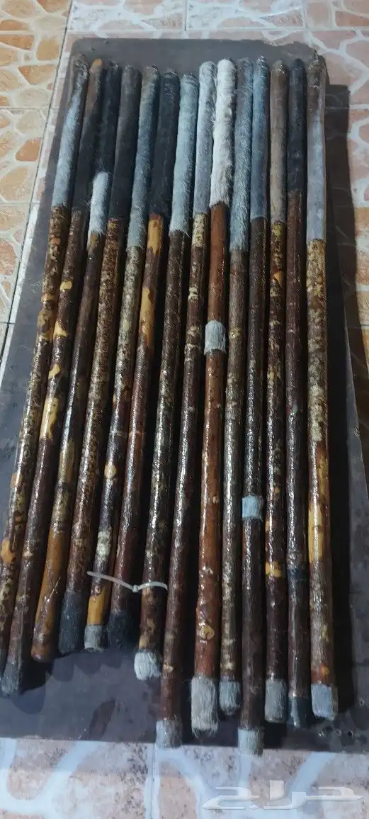 عصي مزمار 15