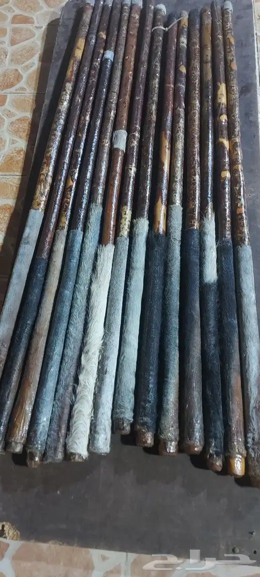 عصي مزمار 19