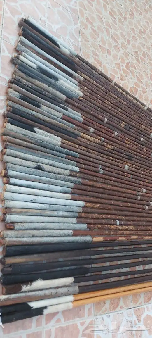 عصي مزمار 37