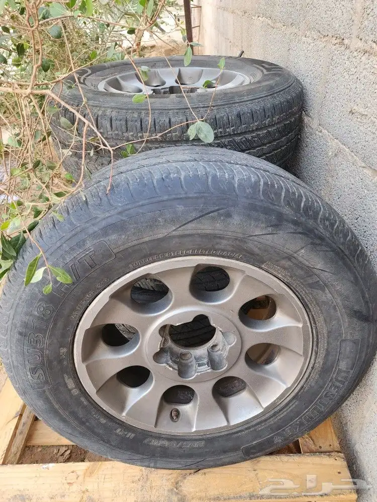 جنوط 17 وكاله 0