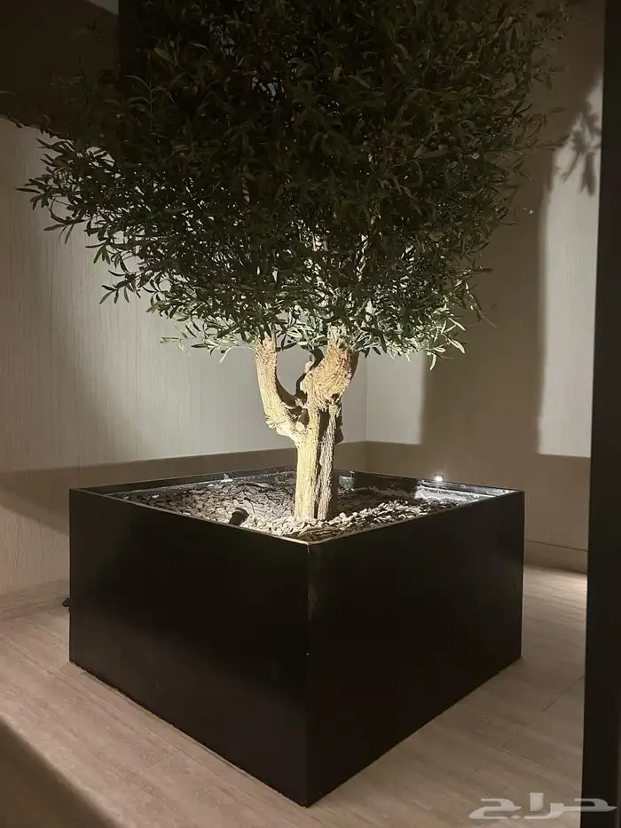 احواض زراعيه فيبر جلاس 2