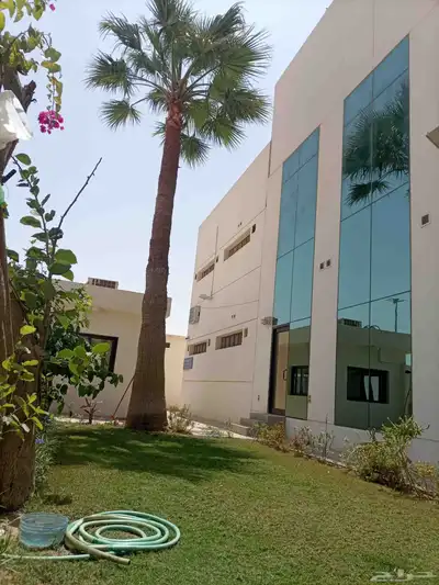 نقوم بتكريب وتنظيف النخيل الواشنطن والعربي 3
