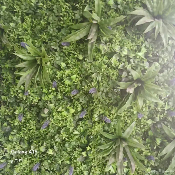 تكسيات خشب داخلي وخارجي 31