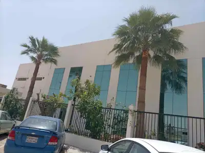 نقوم بتكريب وتنظيف النخيل الواشنطن والعربي 0