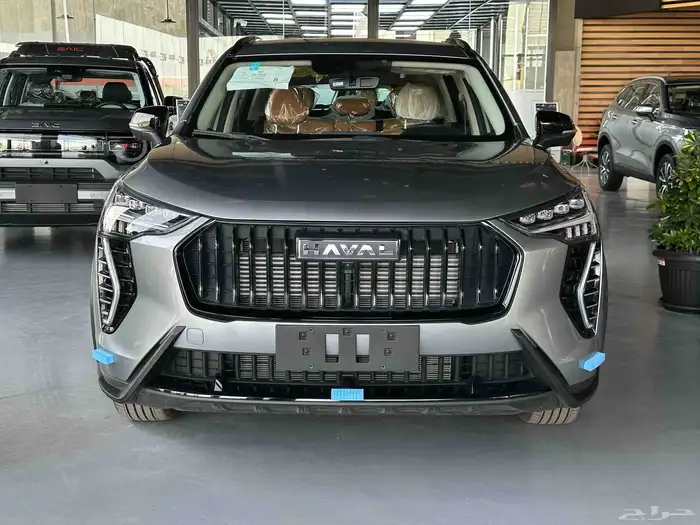 هافال جوليان 2025 0