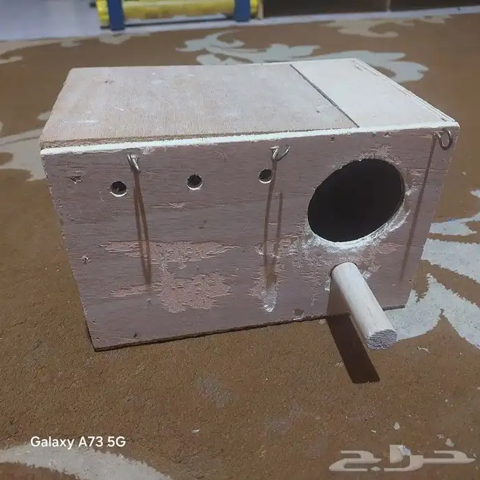 مستلزمات طيور ببغاء وبادجي 3