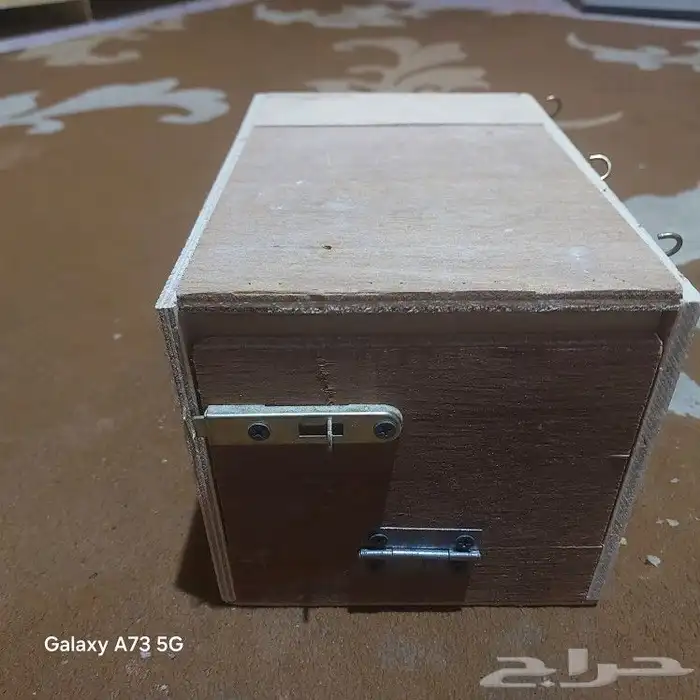 مستلزمات طيور ببغاء وبادجي 2