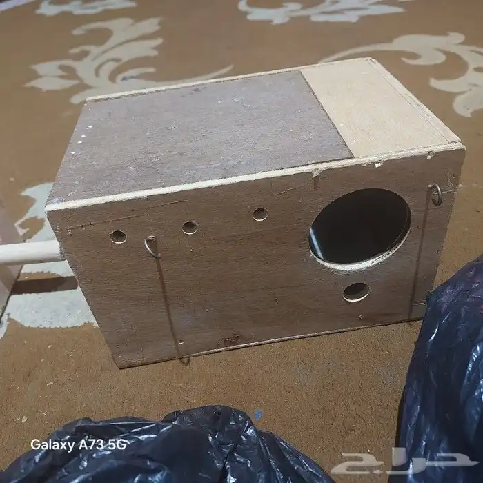 مستلزمات طيور ببغاء وبادجي 1