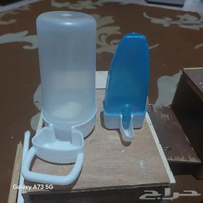 مستلزمات طيور ببغاء وبادجي 7