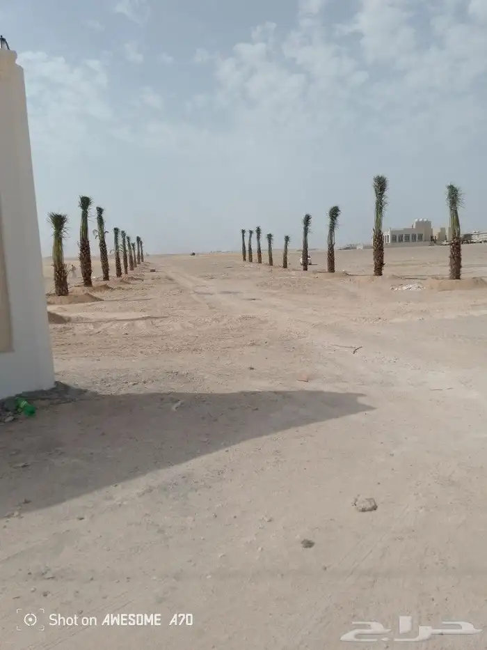 مقاول شبوك ونخيل الشرقية 2