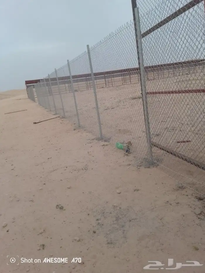 مقاول شبوك ونخيل الشرقية 0