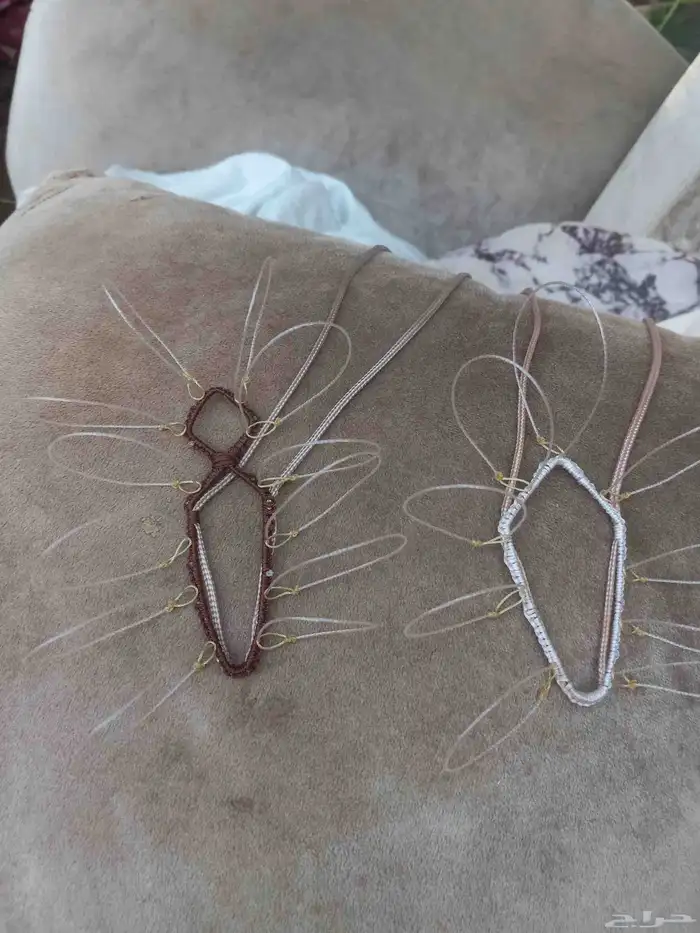 شبك لصيد الصقور 2