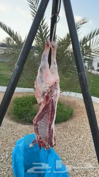 معلم مشويات خارجيه مشاوي دوار السعادة 0