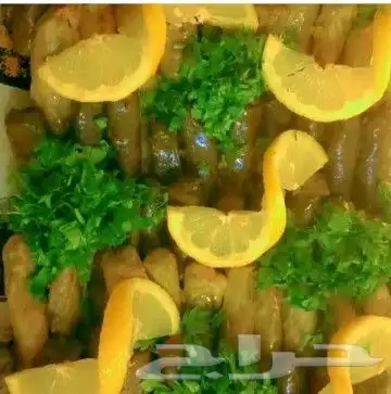 الخرج حي الزاهر 9
