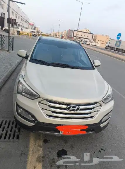 سنتافي 2015 1