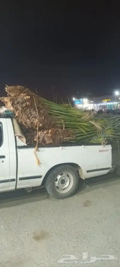 يوجد لدينا جميع انواع انخيل 0