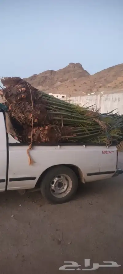 يوجد لدينا جميع انواع انخيل 1