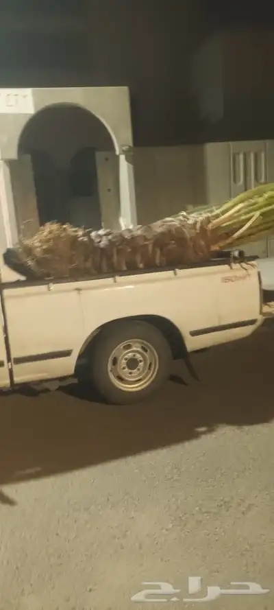 يوجد لدينا جميع انواع انخيل 8