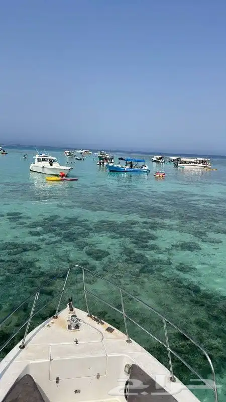 رحلات وحفلات بحريه 0