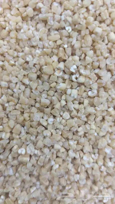 طاحون حب بلدي 14