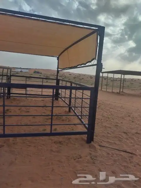 مضلات ابل معضلات غنم مفضلات سيارات نزل الجديد 8