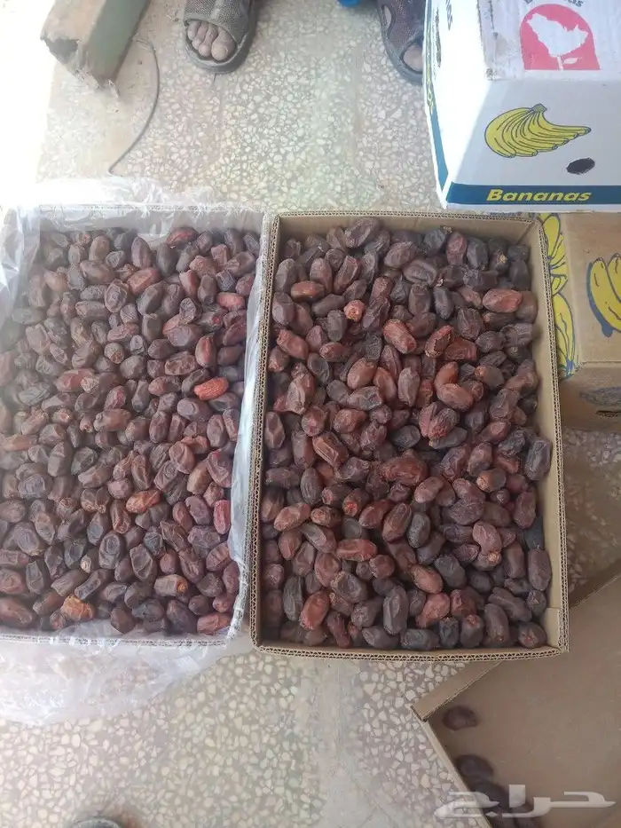 الرياض.الخرح 3