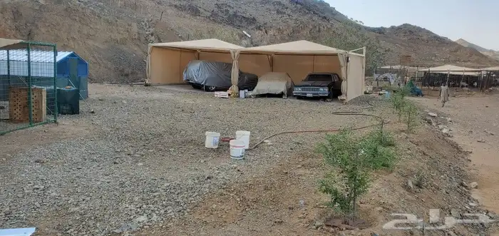 مظلات للبيع مضلات 5