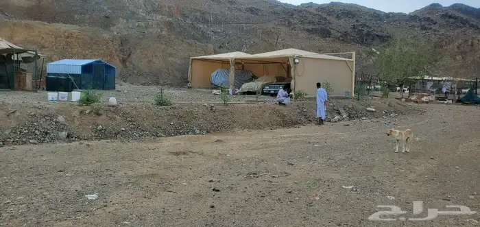 مظلات للبيع مضلات 6