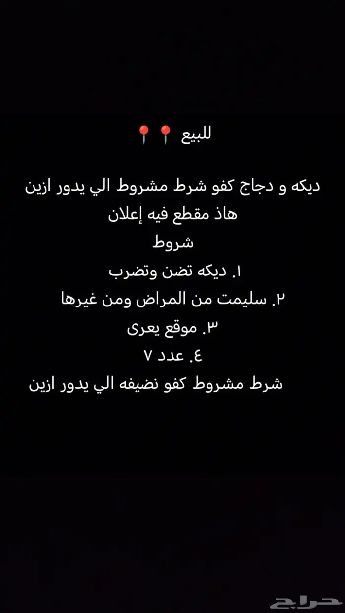 للبيع ديكه و دجاج 0