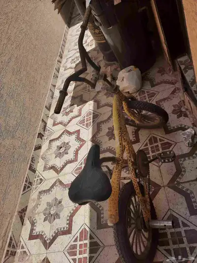 سيكل كوبرا لون نمري (على السوم) 0