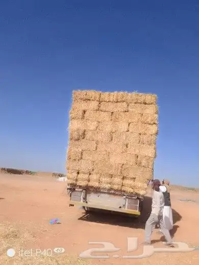 حراج اعلاف برسيم وتبن وذره ورودس 1