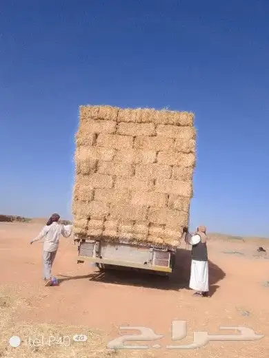 حراج اعلاف برسيم وتبن وذره ورودس 0