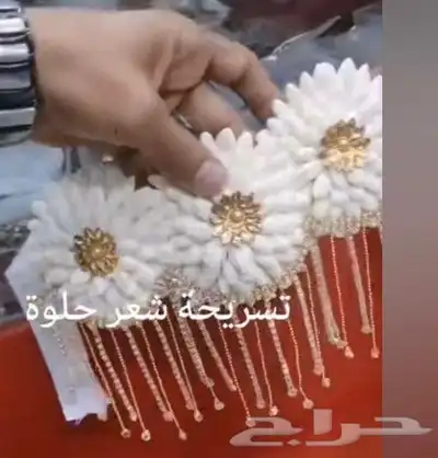 فل صبيا  جيزانيات_جيزانيه_جازان_ابوعريش__صامطة_صامطه_الطوال 6