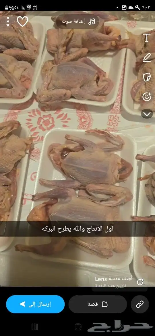 فروخ حمام فرنسي 0