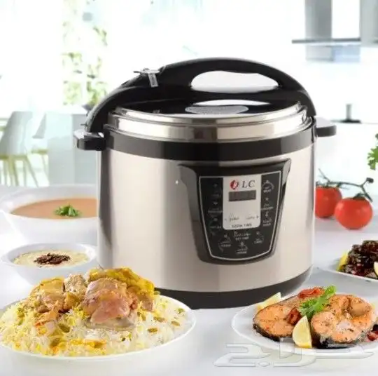 قدر ضغط كهربائي مع شبك مندي بحجم 6لتر من شركة دي ال سي 0