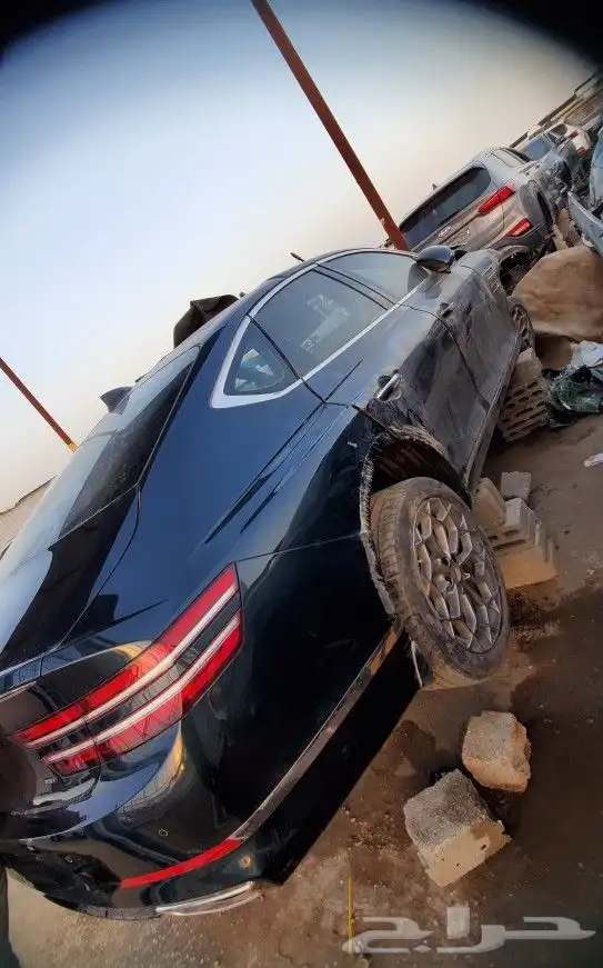 جنسس2023 4