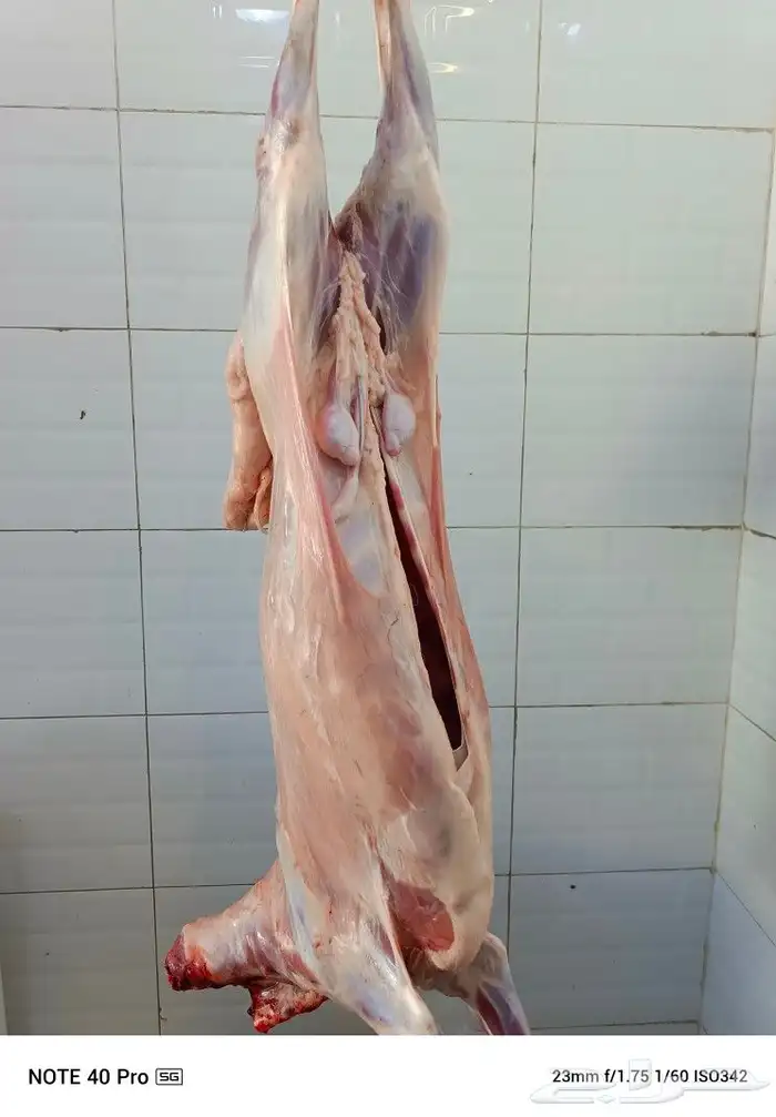 تجهيزات الحفلات مشويات كباب لحم 5