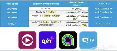 انترنت فايبر الياف بصريه نت مفتوح لا محدود 2