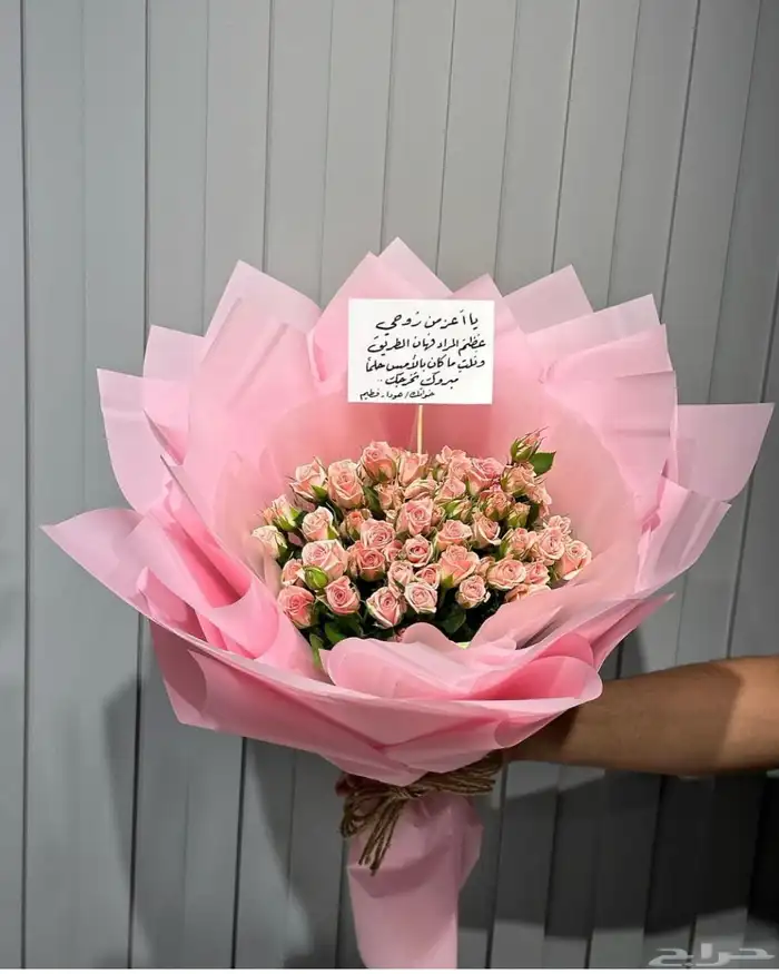 مندوب توصيل طلبات وتنسيق هدايا 6