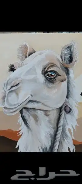 رسام 4