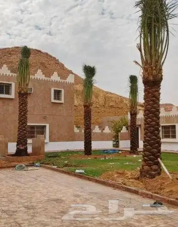 مقاول شبوك ونخيل وتراث وحجر في جميع مناطق المملكة 1