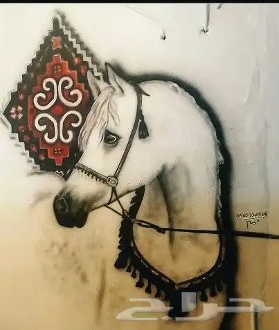 رسام 6