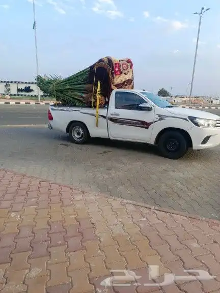 يوجد لدينا جميع أنواع النخيل 0