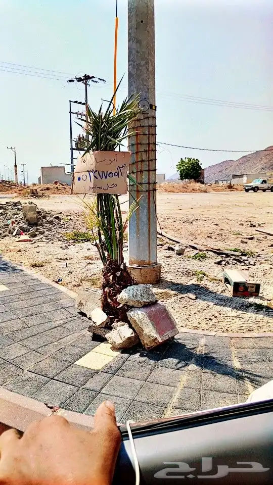 نخيل  الرياض  المزاحميه  الخرج   الاحساء نجران تبوك سكاكا 7