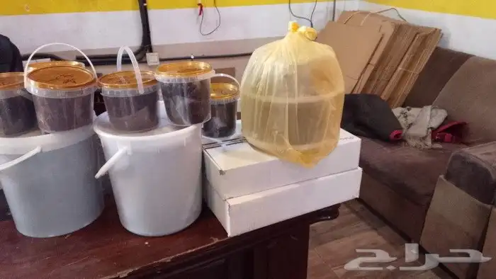 جبنه عرب مقليه 3