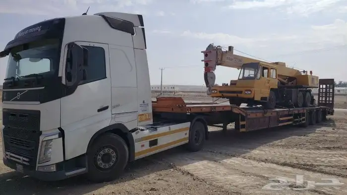 لوبد متواجد في حفرالباطن وما حولها 0