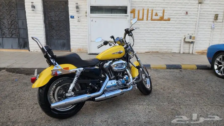 دباب هارلي كستم 1200 cc تانكي كبير 2